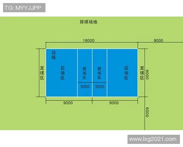深圳排球队运营策略深度分析与发展前景探讨